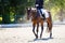 Bay horse with rider walking on dressage contest