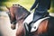 On a Bay horse in the saddle sits a rider in a blue suit and lacquered black boots