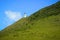 Bay of Islands: green fields, blue sky, white lighthouse, New Zealand