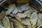 Bay leaf spice cooking background close up