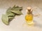 Bay Leaves Oil or Laurel Essential