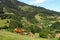 Bay mare and a foal graze on the verdant mountainside among villages in Basque Country, Spain