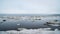 The Bay of Nagaev / Spring