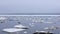 The Bay of Nagaev / Spring