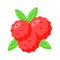 Bayberry vector design in modern design style, Myrica, yangmei, candleberry, sweet gale, or wax myrtle berry icon