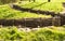 Bayernwald wooden trench of world war 1 belgium