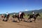 Bayga - traditional nomad horses racing