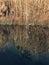 Bayou Cane Water Reflections