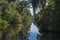 Bayou of Jean Lafitte National Park in Louisiana