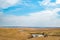 Bazaar Cattle Pens, Kansas