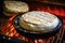 Bbq, grilled camembert cheese on grill grate with fire. Close-up view. Summer picnic outdoors.