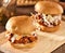 Bbq pulled pork sandwich sliders