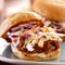 Bbq pulled pork sandwich sliders