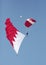 BDF Special Forces Parachute Display Team performs in Bahrain