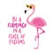 Be a flamingo in a flock of pigeons - Motivational quotes.