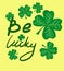 Be lucky vector print design