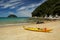 Beach at Abel Tasman National Park in New Zealand