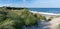 Beach access through marsh grass and sand dunes to a secluded sandy beach