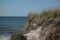 The beach of ahrenshoop at the baltic sea