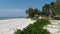 Beach with Algae and Tropical Coastline with Hotels at Low Tide Zanzibar, Pingwe