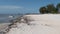 Beach with Algae and Tropical Coastline with Hotels at Low Tide Zanzibar, Pingwe