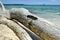 Beach along Isla Catalina, Dominican Republic