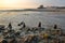 The beach of Ambleteuse at sunset with colorful stones in the foreground and the fort in the background, Cote d`Opale, Pas de Cala