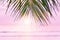 Beach background with palm tree. Tropical beach palm leafs
