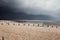 Beach bad weather coast winchelsea england