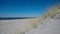 Beach of the Baltic Sea with beach grass, wind and Baltic sea