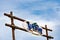 Beach bar banner written with blue letters at the seaside