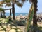 Beach bar and seafront in Kissonerga Cyprus