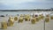 Beach baskets on the Baltic Sea - famous Travemunde beach in Germany