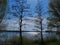 On the beach of a Bavarian lake - brombachsee