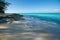 Beach on Bimini with trees and vegetation