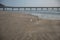 Beach Birds and Gulls next to a fishing Pier