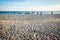 Beach with blurred people on white sand sunset time.