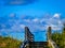 Beach Boardwalk with Sky, Clouds and Sea Oats