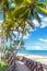 Beach boardwalk under palm trees