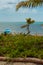 Beach with boat and palm trees in the biosphere of Sian Ka`an