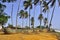 Beach, boat and palm trees on the shores of ocean