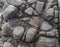 Beach boulders melted together into a large rock