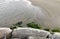 Beach with boulders and rocks covered by algae