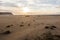 On beach of Breidavik, sunset, westfjords of iceland