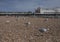 Beach in Brighton, England, the UK - seagulls, pebbles and the pier.