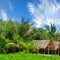 Beach bungalows set against a backdrop of lush tropical vegetation