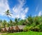 Beach bungalows set against a backdrop of tropical vegetation