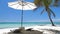 Beach calm scene with sunbeds and umbrella under coconut palms close to Caribbean sea