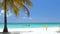 Beach calm scene with sunbeds under coconut palms close to Caribbean sea