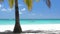 Beach calm scene with sunbeds under coconut palms close to Caribbean sea